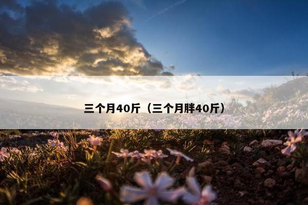 三个月40斤（三个月胖40斤）