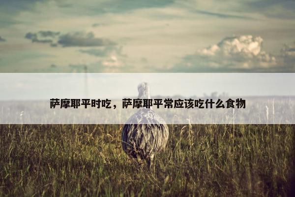 萨摩耶平时吃，萨摩耶平常应该吃什么食物