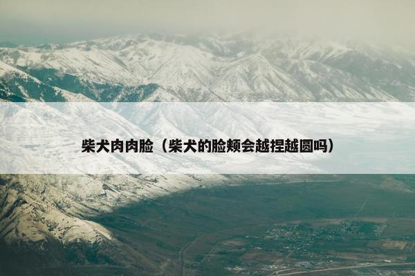 柴犬肉肉脸（柴犬的脸颊会越捏越圆吗）