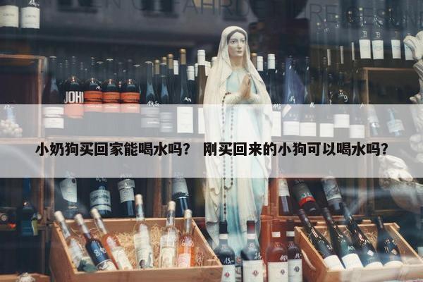小奶狗买回家能喝水吗？ 刚买回来的小狗可以喝水吗？