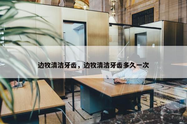 边牧清洁牙齿，边牧清洁牙齿多久一次