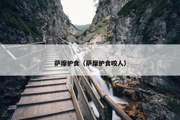 萨摩护食（萨摩护食咬人）