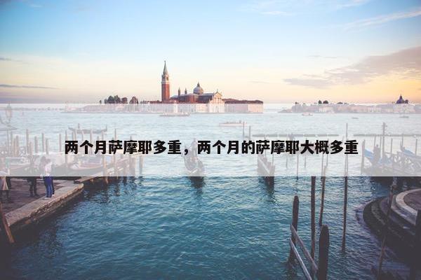 两个月萨摩耶多重，两个月的萨摩耶大概多重