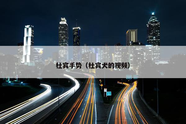 杜宾手势（杜宾犬的视频）
