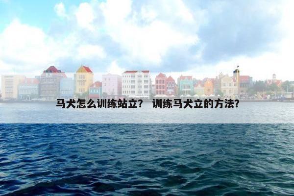 马犬怎么训练站立？ 训练马犬立的方法？