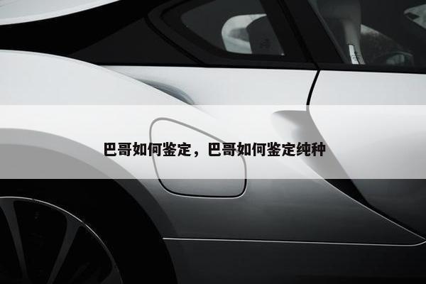 巴哥如何鉴定，巴哥如何鉴定纯种