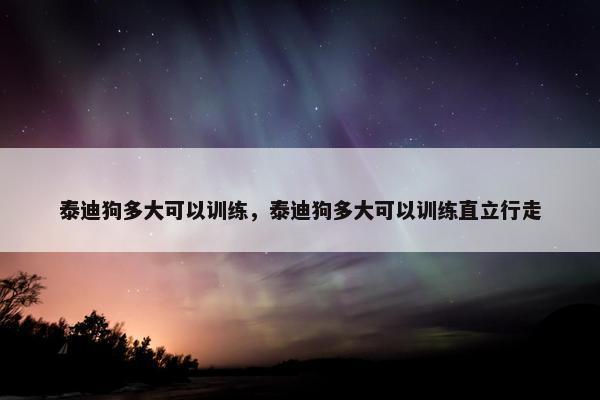 泰迪狗多大可以训练，泰迪狗多大可以训练直立行走