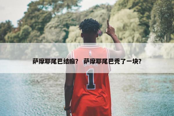 萨摩耶尾巴结痂？ 萨摩耶尾巴秃了一块？