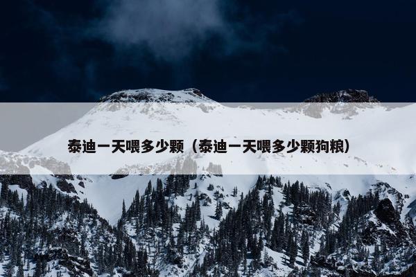 泰迪一天喂多少颗（泰迪一天喂多少颗狗粮）