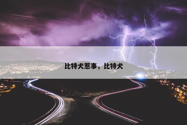 比特犬惹事，比特犬