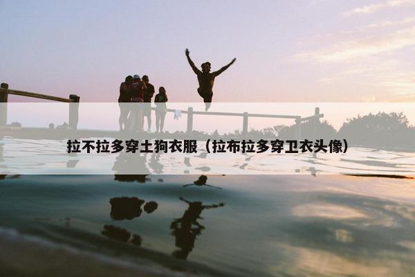 拉不拉多穿土狗衣服（拉布拉多穿卫衣头像）