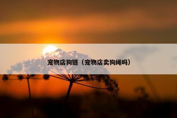 卡扣