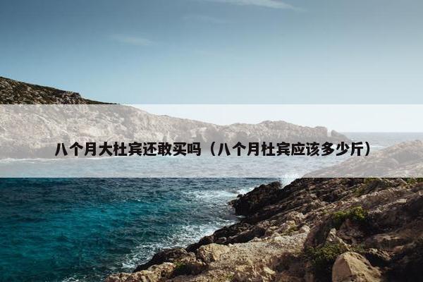 八个月大杜宾还敢买吗（八个月杜宾应该多少斤）