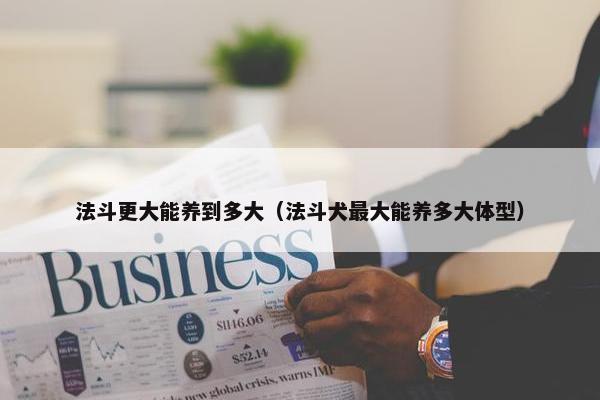 法斗更大能养到多大（法斗犬最大能养多大体型）