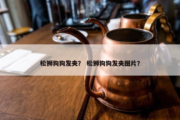 松狮狗狗发夹？ 松狮狗狗发夹图片？