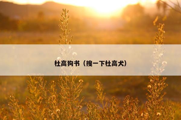 杜高狗书（搜一下杜高犬）