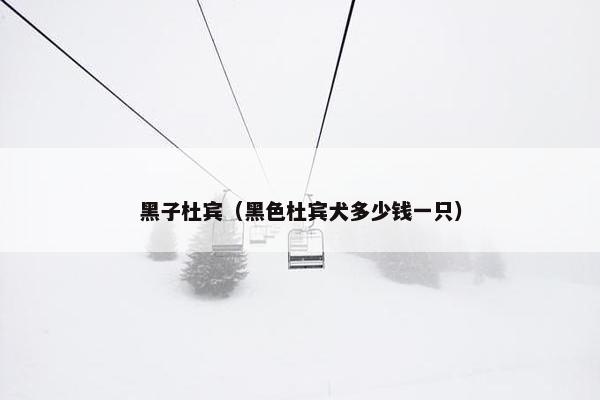 黑子杜宾（黑色杜宾犬多少钱一只）