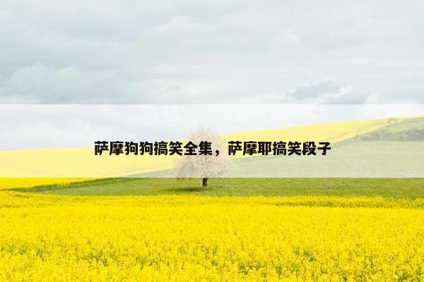 萨摩狗狗搞笑全集，萨摩耶搞笑段子