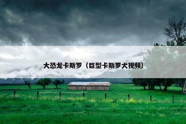 大恐龙卡斯罗（巨型卡斯罗犬视频）