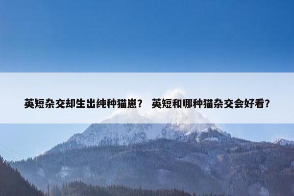 英短杂交却生出纯种猫崽？ 英短和哪种猫杂交会好看？