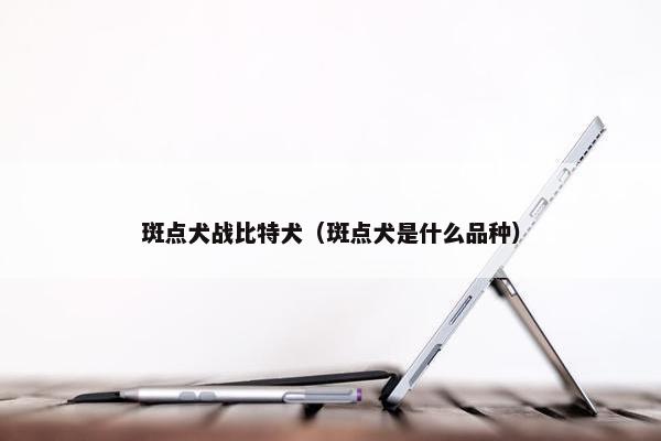 斑点犬战比特犬（斑点犬是什么品种）