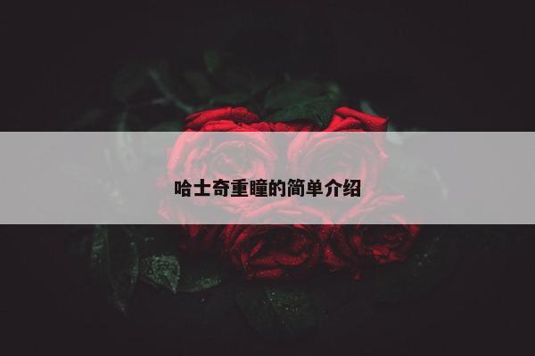 鸳鸯