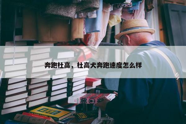 奔跑杜高，杜高犬奔跑速度怎么样