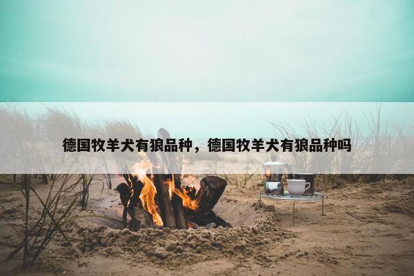 德国牧羊犬有狼品种，德国牧羊犬有狼品种吗