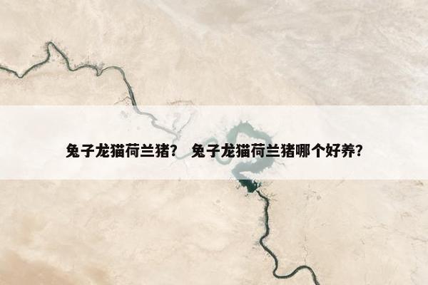 兔子龙猫荷兰猪？ 兔子龙猫荷兰猪哪个好养？