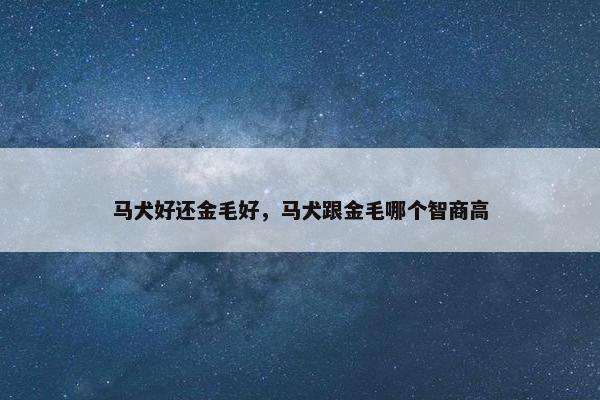 马犬好还金毛好，马犬跟金毛哪个智商高