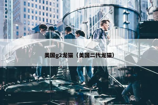 美国g2龙猫（美国二代龙猫）