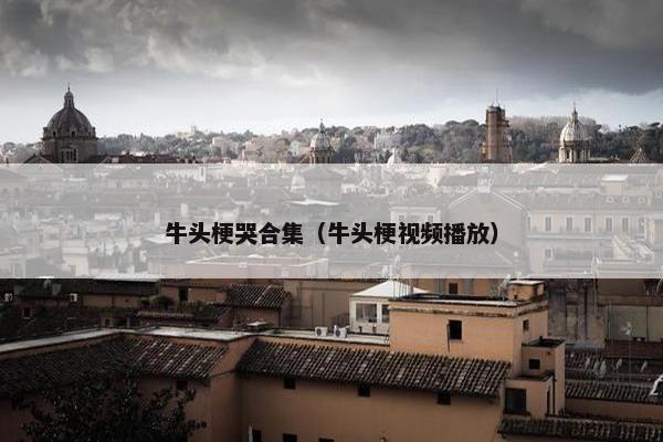 牛头梗哭合集（牛头梗视频播放）