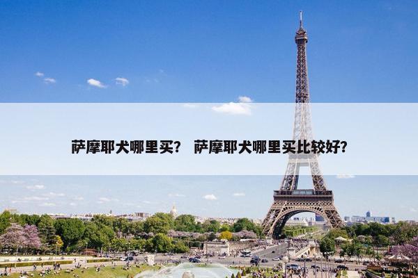 萨摩耶犬哪里买？ 萨摩耶犬哪里买比较好？