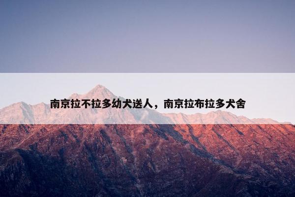 南京拉不拉多幼犬送人，南京拉布拉多犬舍