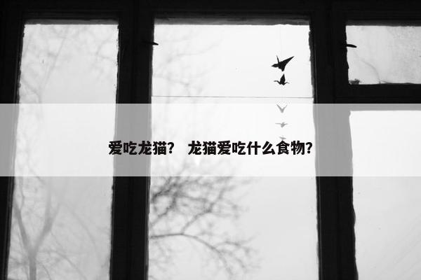 爱吃龙猫？ 龙猫爱吃什么食物？