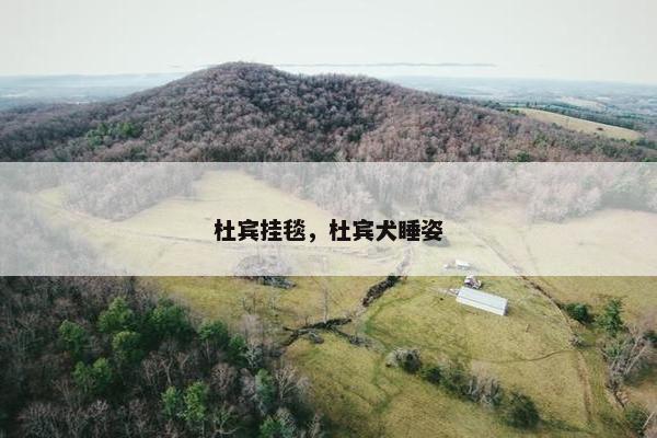 杜宾挂毯，杜宾犬睡姿