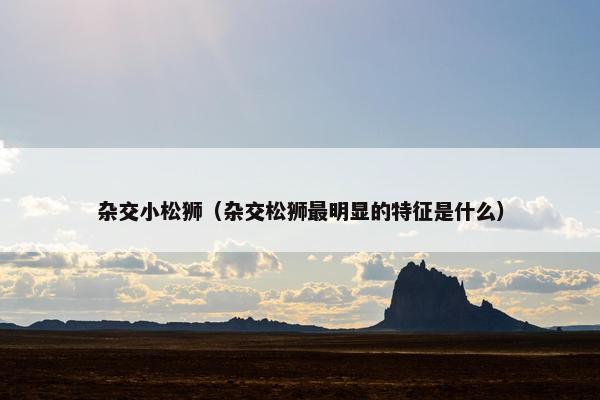 杂交小松狮（杂交松狮最明显的特征是什么）