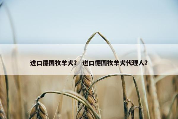 进口德国牧羊犬？ 进口德国牧羊犬代理人？