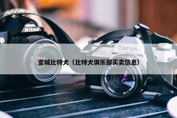 宣城比特犬（比特犬俱乐部买卖信息）