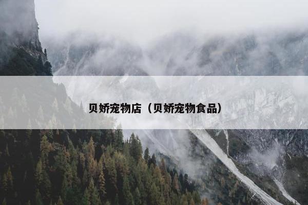 寓意 第4页
