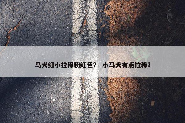 马犬细小拉稀粉红色？ 小马犬有点拉稀？