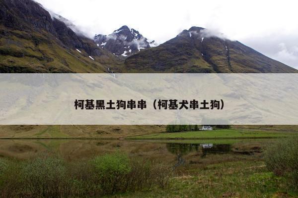 柯基黑土狗串串（柯基犬串土狗）