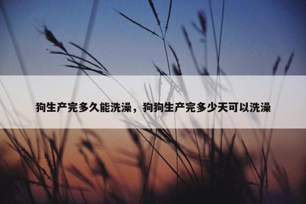 狗生产完多久能洗澡，狗狗生产完多少天可以洗澡