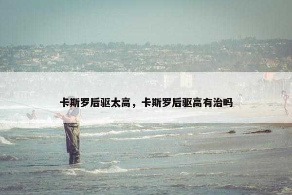 普雷萨