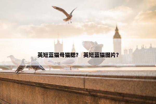 公英