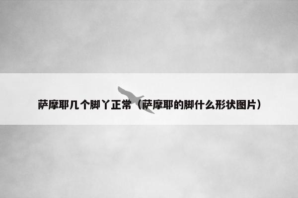 萨摩耶几个脚丫正常（萨摩耶的脚什么形状图片）
