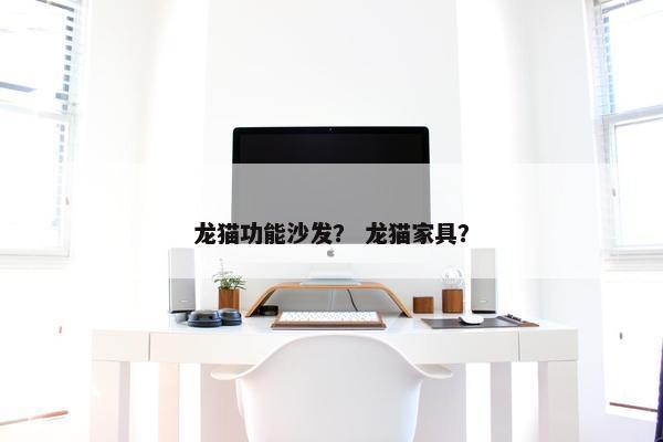 龙猫功能沙发？ 龙猫家具？