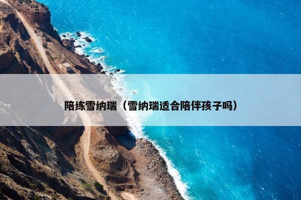 陪练雪纳瑞（雪纳瑞适合陪伴孩子吗）