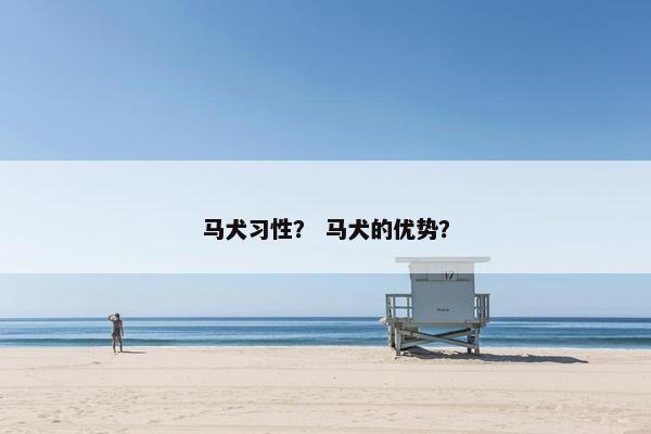 马犬 第22页