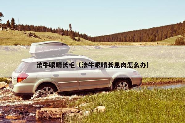 法牛眼睛长毛（法牛眼睛长息肉怎么办）